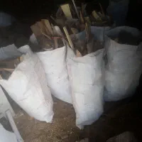 چوب زغالی پا اره فلکه|عمدهفروشی|بیرجند, |دیوار