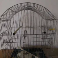 قفس پرنده