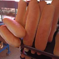 نان فانتزی|استخدام خدمات فروشگاه و رستوران|بروجرد, |دیوار