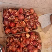 انار خندون درجه ۱ می خوش دانه سیاه