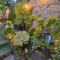 خدمات باغبانی گل کاری سمپاشی تعویض خاک گلدان