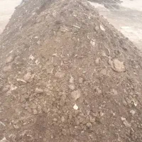 مرغ کودمرغی|خدمات باغبانی و درختکاری|تفتان, |دیوار