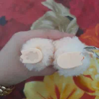 جعبه نداره|اسباب‌‌بازی|قم, کلهری|دیوار