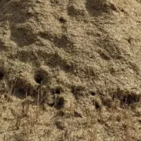 کاه دیم تحویلی درب منزل