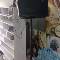 اسپیکر حرفه ای + میکسر
