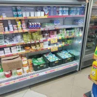 یخچال پرده هوای  انجماد|فروشگاه و مغازه|تهران, تهرانسر شمالی|دیوار