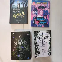 کتاب قدرتمند.ناتوان.تابسنانی باجسپر. خانواده مرموز