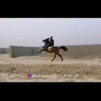 مادیان میکروچیپ شده