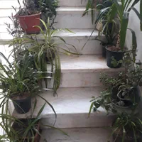 وسایل منزل مبل ال ای دی تخت و کمد چرخ خیاطی دوچرخه|مبلمان خانگی و میز عسلی|کرمانشاه, |دیوار