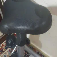 دوچرخه ثابت بادی اسکالپچر|تجهیزات ورزشی|پردیس, فاز ۲|دیوار