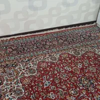 فرش۱۲متری کاشان تمام اکریلیک تمیزونرم|فرش|فولادشهر, B2|دیوار