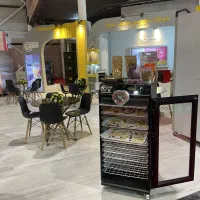 دستگاه خشک کن میوه آلو هلو شلیل بهd300tt|سایر لوازم برقی|اردبیل, |دیوار