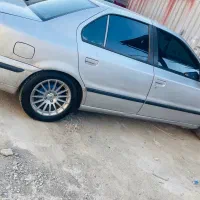 سمند نقره ای زیبا