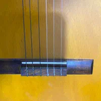فروش گیتارCordoba|گیتار، بیس، امپلیفایر|بندرعباس, |دیوار