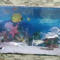 اکواریوم زیبا و بزرگ