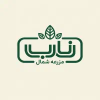 **استخدام تدوینگر و کارشناس محتوای سایت (دورکار)