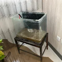 اکواریوم سایز متوسط