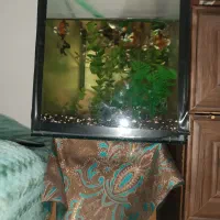 اکواریوم با تمام لوازم .معاوضه