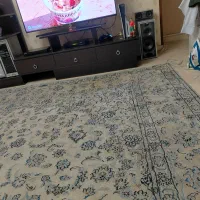زیر تلوزیونی