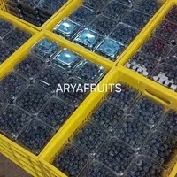 بلوبری فریز و تازه ایرانی گلخانه ای|خوردنی و آشامیدنی|تهران, شهرک شریعتی|دیوار