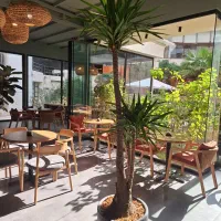 باریستا/ بارتندر