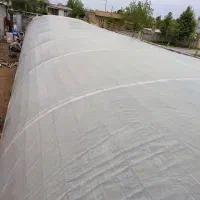 گلخانه|عمده‌فروشی|گنبد کاووس, |دیوار