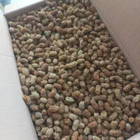 توت خشک با کیفیت کرمانشاه . اورامانات