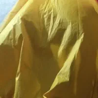 مدل کوتاهی مو میشم|خدمات آرایشگری و زیبایی|تهران, بهداشت|دیوار