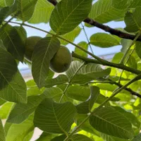 خانه ویلایی دربست ۱۰۰ متری ۲ خوابه تجاری مسکونی|فروش خانه و ویلا|رودهن, |دیوار