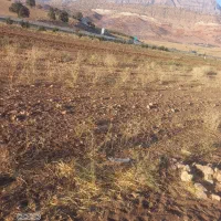 زمین باغ .کشاورزی|فروش زمین و ملک کلنگی|ویسیان, |دیوار