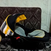 کریر و قنداق فرنگی