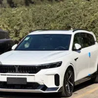 وویا فری ۲۰۲۵/شرایط اقساط/تحویلفورری