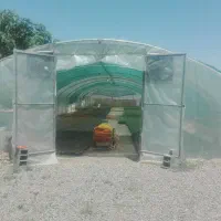 سازه گلخانه