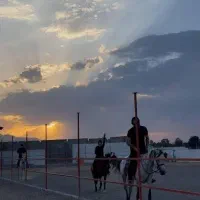 آموزش سوارکاری، کمانگیری سنتی و پانسیون اسب کیان