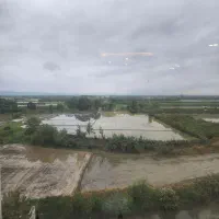 چشم اندار ابدی ب شالیزار بهشت سارویه