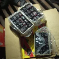 خرما درجه ۱|خوردنی و آشامیدنی|بم, |دیوار