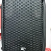 باند اکتیو مجلسی