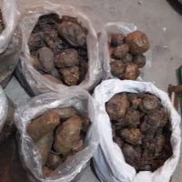 عسل ناب سراب و بره موم و خیار شور|حراج|سراب, |دیوار