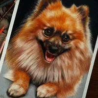 آموزش نقاشی|خدمات آموزشی|ساوه, |دیوار