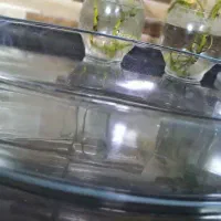 ظرف پیرکس ترک مخصوص فر و مایکروویو