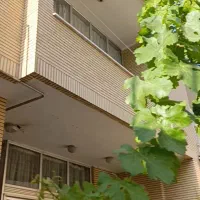 ۲طبقه همراه یک سویت