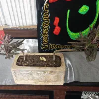 انواع گلدانهای طبیعی