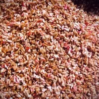 ناردونه ترش و بسیار خوشمزه|عمدهفروشی|دهدشت, |دیوار