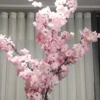 گل 5شاخه پر