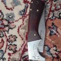 اگهی رو بخونید|پرنده|الشتر, |دیوار