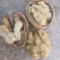 گردو درجه ۱چهارمحال و بختیاری
