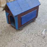 لانه کبوتر وجوجه