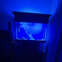 فروش آکواریوم به همراه کمد