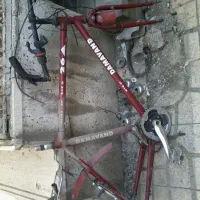 تنه و چرخه کورسی