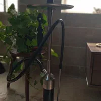 قلیون کرنو اصل